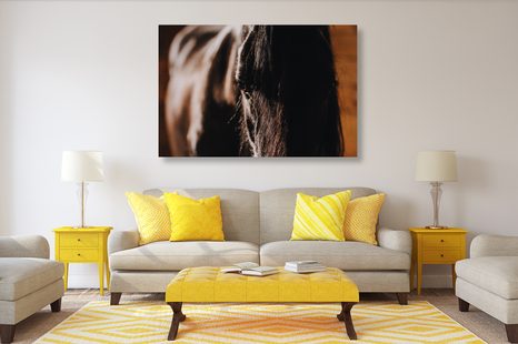 TABLEAU SUR TOILE – CHEVAL MAJESTUEUX - IMAGES D'ANIMAUX - TABLEAUX