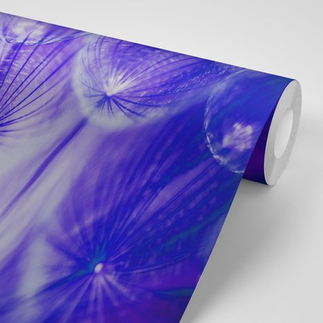 CARTA DA PARATI – DENTE DI LEONE VIOLA STRAORDINARIO - CARTA DA PARATI ASTRATTI - CARTA DA PARATI