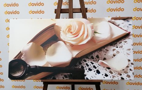 ΕΙΚΌΝΑ ΣΤΑΓΌΝΑ ΝΕΡΟΎ ΣΕ ΧΡΥΣΌ ΦΤΕΡΌ - ΠΊΝΑΚΕΣ VINTAGE ΈΝΑ ΡΕΤΡΌ - ΠΊΝΑΚΕΣ