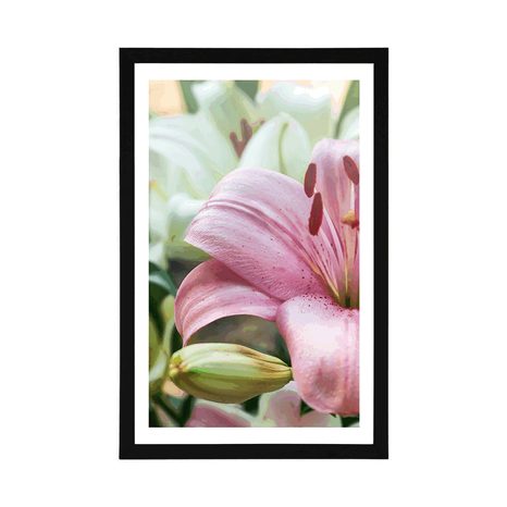 POSTER WITH MOUNT PINK LILY IN BLOOM - FLOWERS - POSTERS
