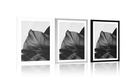 POSTER MIT PASSEPARTOUT BEZAUBERNDES BLATT DER MONSTERA IN SCHWARZ-WEISS - SCHWARZ-WEISS - POSTER