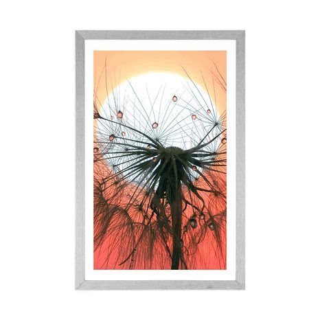 POSTER – DENTE DI LEONE AL TRAMONTO - FIORI - POSTER