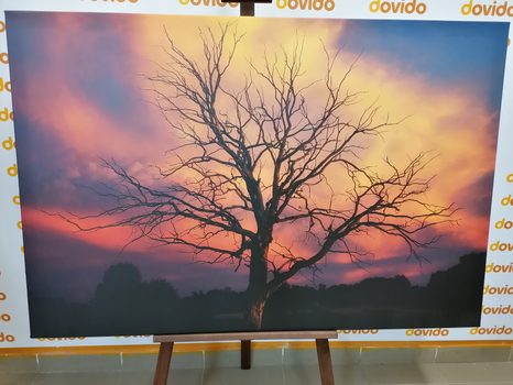 КАРТИНА НА ПЛАТНО – ПРЕКРАСНО ДЪРВО НА ЛИВАДАТА - КАРТИНИ НА ПРИРОДАТА И ПЕЙЗАЖИ - КАРТИНИ