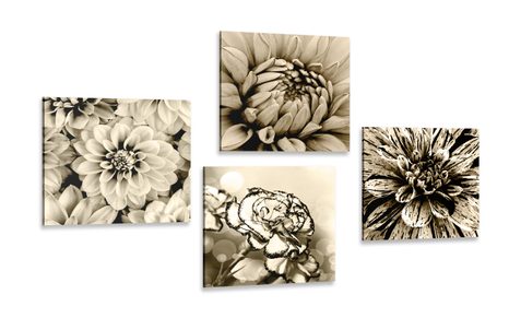 BILDERSET BLUMEN IN SEPIA - BILDERSETS - BILDER