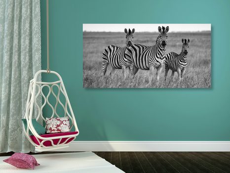 OBRAZ TRZY ZEBRY NA SAWANNIE W WERSJI CZARNO-BIAŁEJ - OBRAZY CZARNO-BIAŁE - OBRAZY