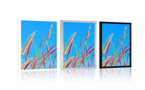 PLAKÁT DIVOKÁ TRÁVA POD MODROU OBLOHOU - PŘÍRODA - PLAKÁTY