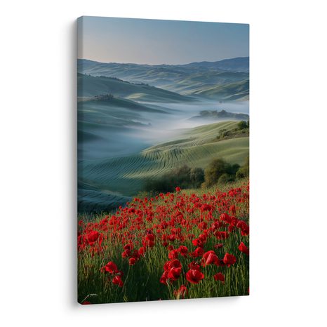 OBRAZ ČERVENÉ MÁKY V KRAJINĚ - OBRAZY POLE A LOUKY - OBRAZY