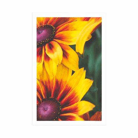 PLAKÁT ATRAKTIVNÍ DVOUBAREVNÉ KVĚTINY - KVĚTINY - PLAKÁTY