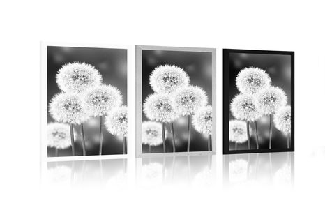 POSZTER BOLYHOS PITYPANG FEKETE-FEHÉR KIVITELBEN - FEKETE-FEHÉR - POSZTEREK