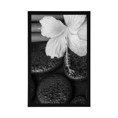 POSZTER WELLNESS CSNEDÉLET FEKETE FEHÉRBEN - FEKETE-FEHÉR - POSZTEREK