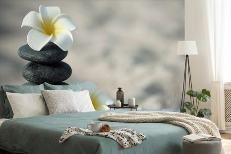 FOTOTAPETA HARMONICKÉ KAMENY A PLUMERIE - TAPETY FENG SHUI - TAPETY