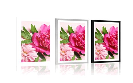 POSTER – PEONIE IN ROSA - FIORI - POSTER