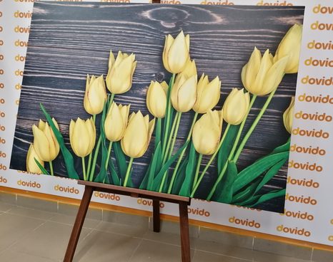 KÉP SÁRGA TULIPÁNOK FA HÁTTÉREN - VIRÁGMINTÁS KÉPEK - KÉPEK
