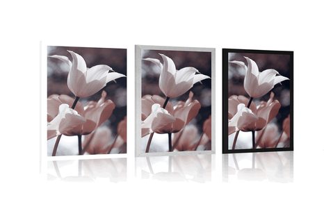 PLAKAT PROLJETNI TULIPANI U PARKU - CVIJEĆE - PLAKATI