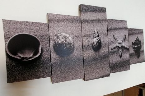 КАРТИНИ ОТ 5 ЧАСТИ – ЧЕРУПКИ НА ПЯСЪЧЕН ПЛАЖ В ЧЕРНО-БЯЛО - ЧЕРНО-БЕЛИ КАРТИНИ - КАРТИНИ