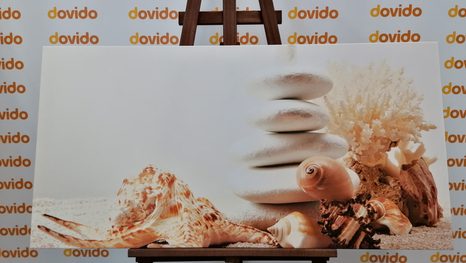 OBRAZ ZEN KAMENY S MUŠLEMI - OBRAZY - TOTÁLNÍ VÝPRODEJ 🔥