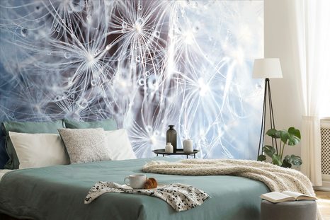 TAPETA MAKRO PAMPELIŠKA - TAPETY KVĚTINY - TAPETY