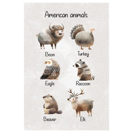 OBRAZ AMERICKÁ ZVÍŘATA V ILUSTRACI - DĚTSKÉ OBRAZY ZVÍŘÁTKA - OBRAZY