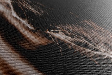 TABLEAU SUR TOILE – CHEVAL MAJESTUEUX - IMAGES D'ANIMAUX - TABLEAUX