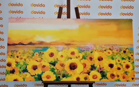 KÉP NAPRAFORGÓ MEZŐ - VIRÁGMINTÁS KÉPEK - KÉPEK