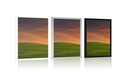 PLAKÁT STROM NA LOUCE - PŘÍRODA - PLAKÁTY