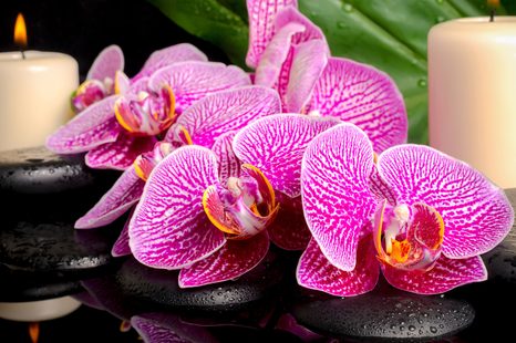 OBRAZ ZEN KOMPOZICE SE SVÍČKAMI - OBRAZY FENG SHUI - OBRAZY