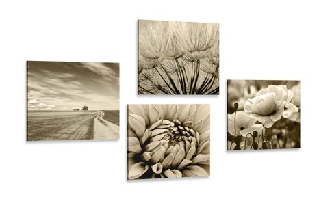 BILDERSET FELD MIT BLUMEN IN SEPIA - BILDERSETS - BILDER