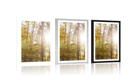 PLAKAT S PASPARTUJEM GOZD V JESENSKIH BARVAH - NARAVA - PLAKATI