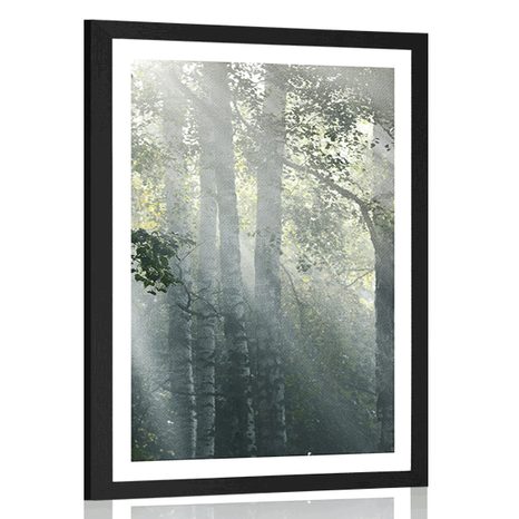 POSTER MIT PASSEPARTOUT SONNENSTRAHLEN IM NEBLIGEN WALD - NATUR - POSTER