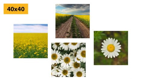 SET OBRAZŮ LOUKA PLNÁ KVĚTIN - SESTAVY OBRAZŮ - OBRAZY