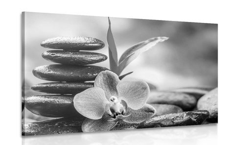 CANVAS PRINT MEDITATIVE ZEN COMPOSITION IN BLACK AND WHITE - BLACK AND WHITE PICTURES - PICTURES