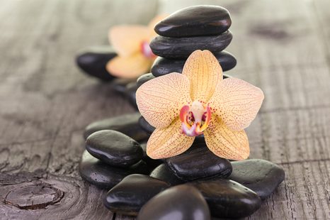 CARTA DA PARATI – ORCHIDEE E PIETRE ZEN - CARTA DA PARATI FENG SHUI - CARTA DA PARATI
