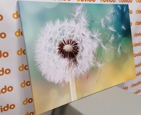 TABLOU PĂPĂDIE MAGICĂ - TABLOU FLORI - TABLOURI