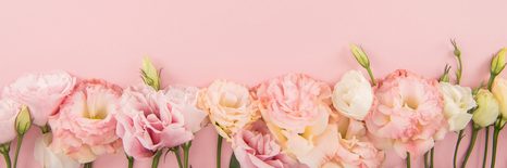 КАРТИНА НА ПЛАТНО – ПАСТЕЛНИ ЦЪФТЯЩИ ЦВЕТЯ - КАРТИНИ С ЦВЕТЯ - КАРТИНИ