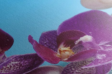 OBRAZ WELLNESS ZÁTIŠIE - OBRAZY FENG SHUI - OBRAZY