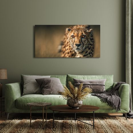 WANDBILD BLICK DER RAUBKATZE IN DER SAVANNE - BILDER VON LÖWEN UND TIGERN - BILDER