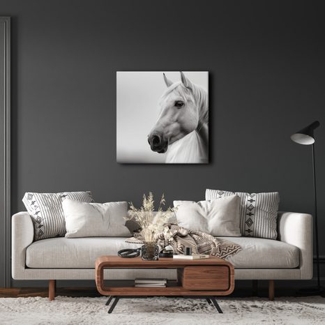 WANDBILD MAJESTÄTISCHES WEISSES PFERD - BILDER VON PFERDEN - BILDER