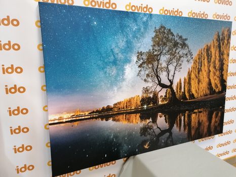 КАРТИНА НА ПЛАТНО – ДЪРВО ПОД ЗВЕЗДНОТО НЕБЕ - КАРТИНИ НА ПРИРОДАТА И ПЕЙЗАЖИ - КАРТИНИ