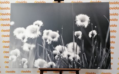 SLIKA BOMBAŽ V ČRNOBELI IZVEDBI - ČRNOBELE SLIKE - SLIKE