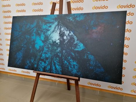 OBRAZ LES POD NOČNÍ OBLOHOU - OBRAZY STROMY A LISTY - OBRAZY