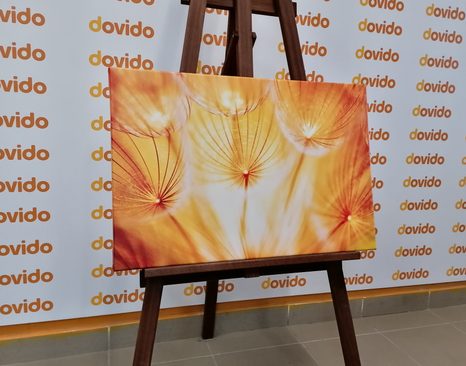 КАРТИНА НА ПЛАТНО – ГЛУХАРЧЕ В ПРЕКРАСНО ИЗПЪЛНЕНИЕ - КАРТИНИ С ЦВЕТЯ - КАРТИНИ