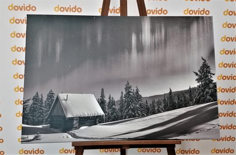 OBRAZ ROZPRÁVKOVÁ ZIMNÁ KRAJINA V ČIERNOBIELOM PREVEDENÍ - ČIERNOBIELE OBRAZY - OBRAZY