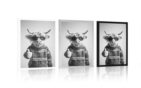 POSTER VACĂ CU OCHELARI ȘI DEGETUL ÎN SUS - BIVOLI - POSTERE