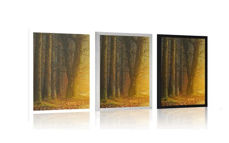 PLAKAT POT V GOZDU - NARAVA - PLAKATI