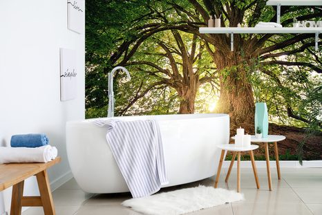 FOTOTAPETE MAJESTÄTISCHE BÄUME - TAPETEN MIT NATURMOTIVEN - TAPETEN