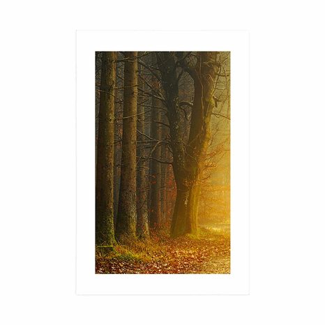 POSTER WITH MOUNT PATH IN THE FOREST - NATURE - POSTERS