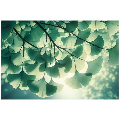 SAMOLEPÍCÍ TAPETA ZELENÉ LISTY GINKGO V ZÁŘI SVĚTLA - TAPETY LISTY - TAPETY
