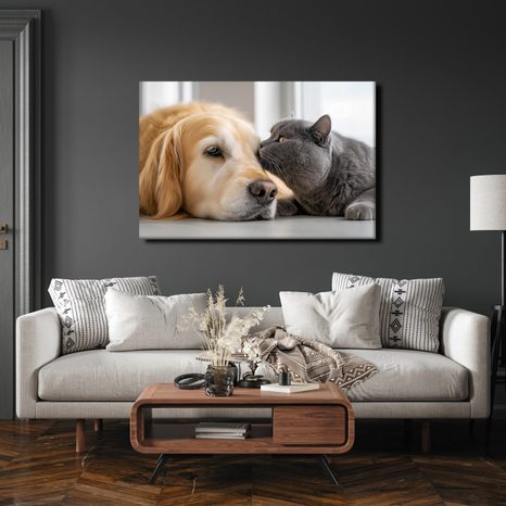 WANDBILD FREUNDSCHAFT ZWISCHEN HUND UND KATZE - BILDER TIERE - BILDER