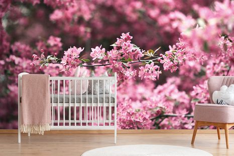 SELBSTKLEBENDE FOTOTAPETE KIRSCHBAUMBLÜTEN IM DETAIL - SELBSTKLEBENDE TAPETEN - TAPETEN