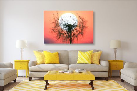 OBRAZ PÚPAVA PRI ZÁPADE SLNKA - OBRAZY KVETOV - OBRAZY